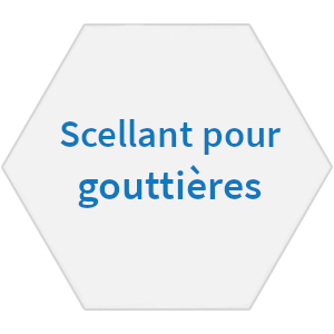 Scellantpourgouttières Scellantpourgouttières
